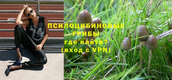 мескалин Баксан