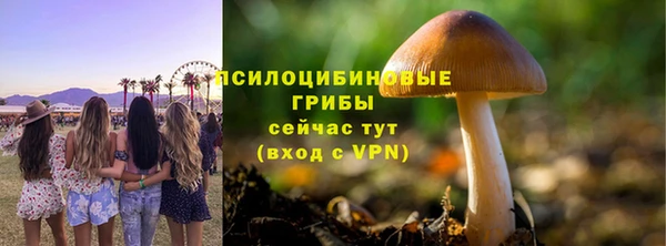 хмурый Балахна